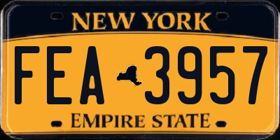 NY license plate FEA3957