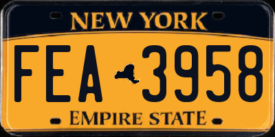 NY license plate FEA3958