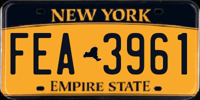 NY license plate FEA3961