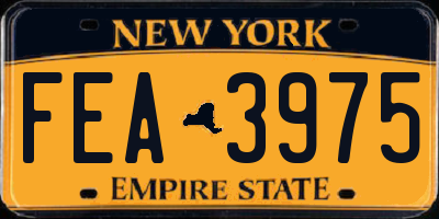 NY license plate FEA3975