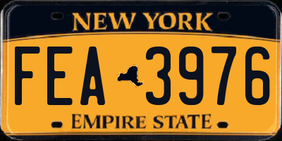 NY license plate FEA3976