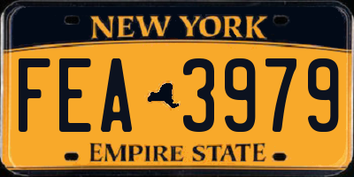 NY license plate FEA3979