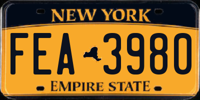 NY license plate FEA3980