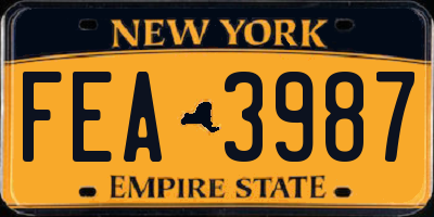 NY license plate FEA3987