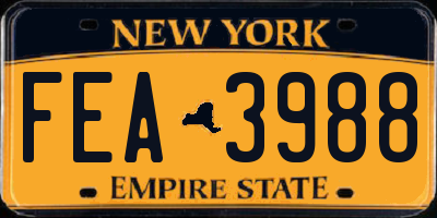 NY license plate FEA3988