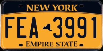 NY license plate FEA3991
