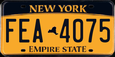 NY license plate FEA4075