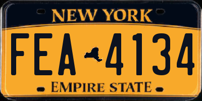 NY license plate FEA4134