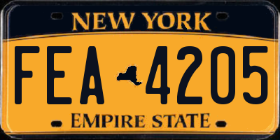 NY license plate FEA4205