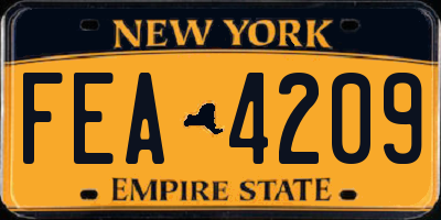 NY license plate FEA4209