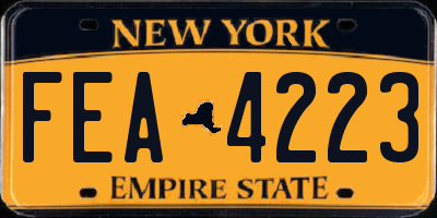 NY license plate FEA4223