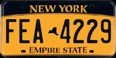 NY license plate FEA4229