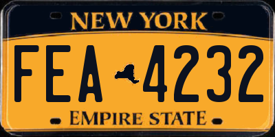 NY license plate FEA4232
