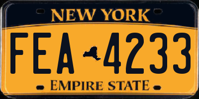 NY license plate FEA4233