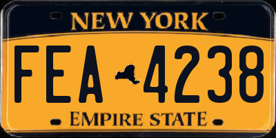 NY license plate FEA4238