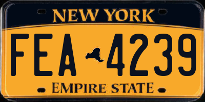 NY license plate FEA4239