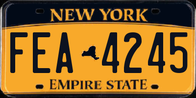 NY license plate FEA4245