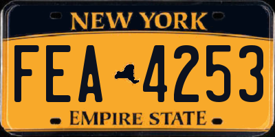 NY license plate FEA4253