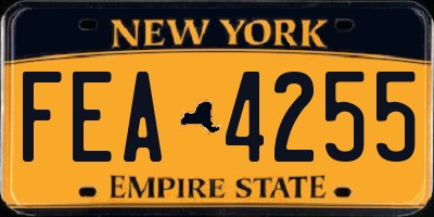 NY license plate FEA4255
