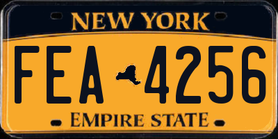 NY license plate FEA4256
