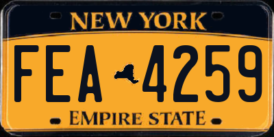 NY license plate FEA4259