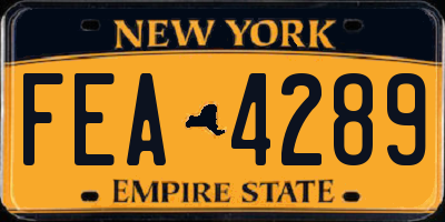 NY license plate FEA4289