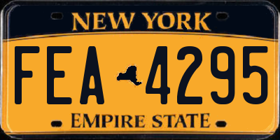 NY license plate FEA4295