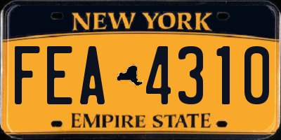 NY license plate FEA4310