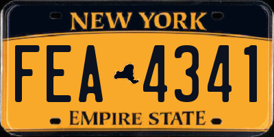NY license plate FEA4341