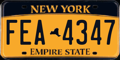 NY license plate FEA4347
