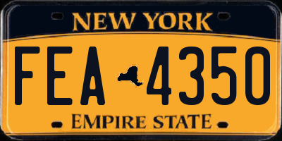 NY license plate FEA4350