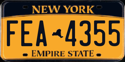 NY license plate FEA4355