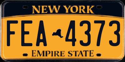 NY license plate FEA4373
