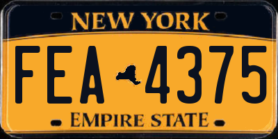 NY license plate FEA4375