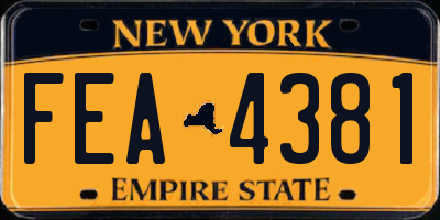 NY license plate FEA4381