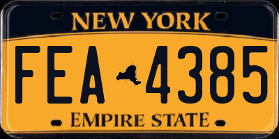 NY license plate FEA4385