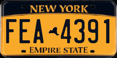 NY license plate FEA4391