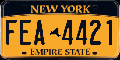 NY license plate FEA4421
