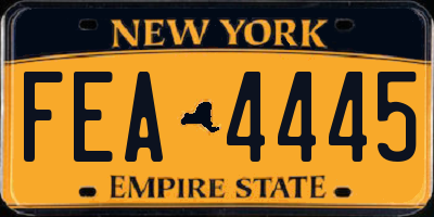 NY license plate FEA4445