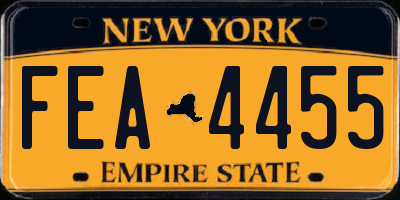 NY license plate FEA4455