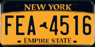 NY license plate FEA4516
