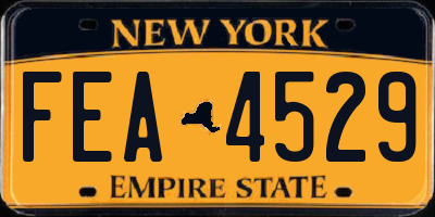 NY license plate FEA4529