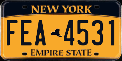 NY license plate FEA4531
