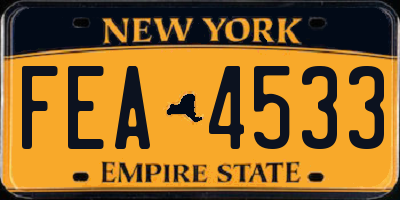 NY license plate FEA4533