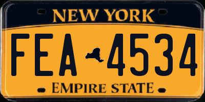 NY license plate FEA4534