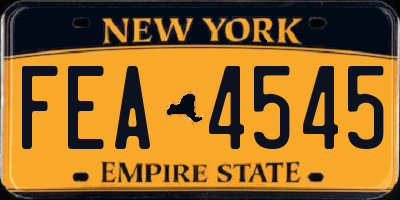 NY license plate FEA4545