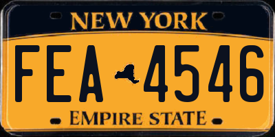 NY license plate FEA4546