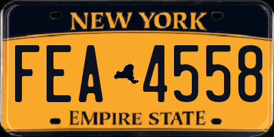 NY license plate FEA4558