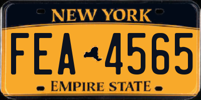NY license plate FEA4565