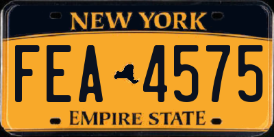NY license plate FEA4575